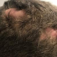 Same patient as previous image