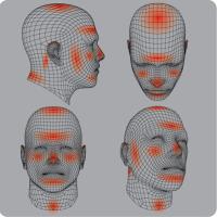 
	Photodermatoses distribution 
	
	The red areas…