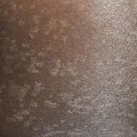 
	Pityriasis versicolor
	
	Many scaly lesions